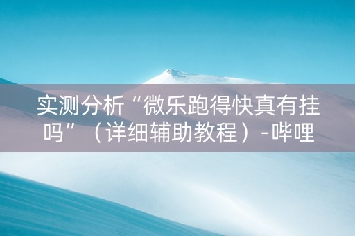 实测分析“微乐跑得快真有挂吗”（详细辅助教程）-哔哩哔哩