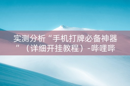 实测分析“手机打牌必备神器”（详细开挂教程）-哔哩哔哩