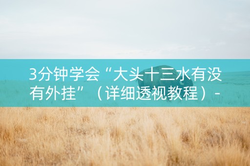 3分钟学会“大头十三水有没有外挂”（详细透视教程）-哔哩哔哩