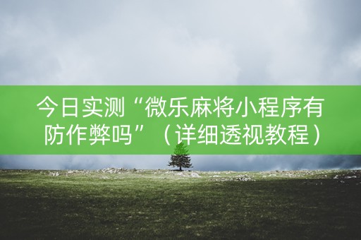 今日实测“微乐麻将小程序有防作弊吗”（详细透视教程）-哔哩哔哩