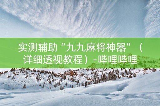 实测辅助“九九麻将神器”（详细透视教程）-哔哩哔哩