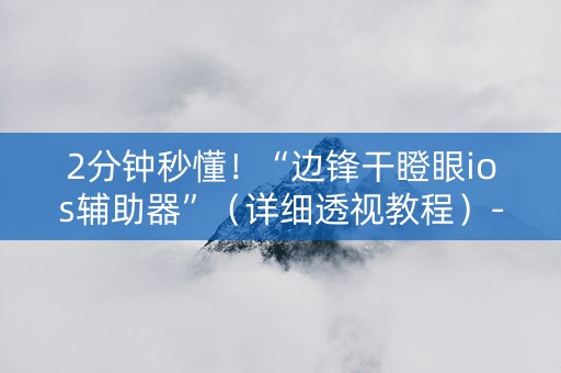 2分钟秒懂！“边锋干瞪眼ios辅助器”（详细透视教程）-哔哩哔哩