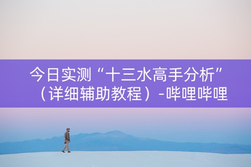今日实测“十三水高手分析”（详细辅助教程）-哔哩哔哩