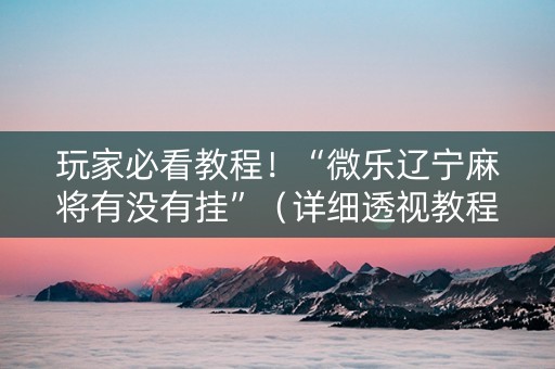 玩家必看教程！“微乐辽宁麻将有没有挂”（详细透视教程）-哔哩哔哩