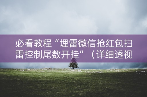 必看教程“埋雷微信抢红包扫雷控制尾数开挂”（详细透视教程）-哔哩哔哩