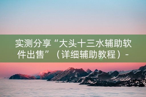 实测分享“大头十三水辅助软件出售”（详细辅助教程）-哔哩哔哩