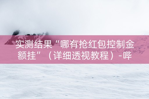 实测结果“哪有抢红包控制金额挂”（详细透视教程）-哔哩哔哩