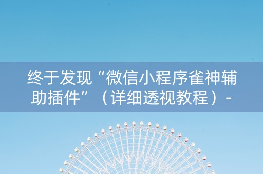 终于发现“微信小程序雀神辅助插件”（详细透视教程）-哔哩哔哩
