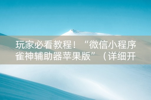 玩家必看教程！“微信小程序雀神辅助器苹果版”（详细开挂教程）-哔哩哔哩