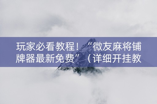 玩家必看教程！“微友麻将铺牌器最新免费”（详细开挂教程）-哔哩哔哩