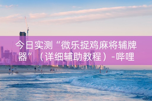 今日实测“微乐捉鸡麻将辅牌器”（详细辅助教程）-哔哩哔哩