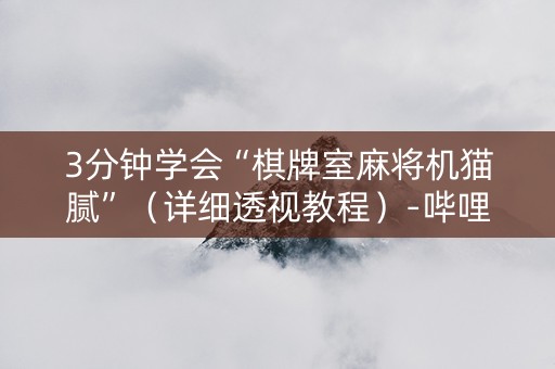 3分钟学会“棋牌室麻将机猫腻”（详细透视教程）-哔哩哔哩