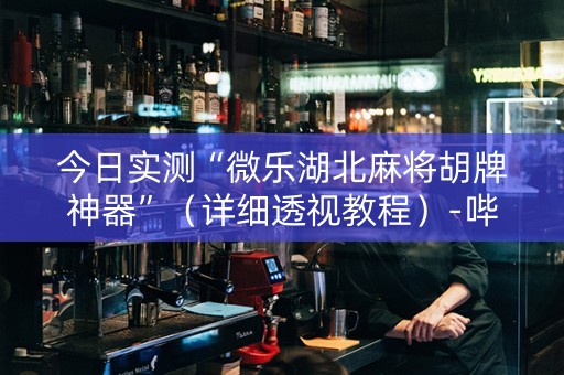 今日实测“微乐湖北麻将胡牌神器”（详细透视教程）-哔哩哔哩