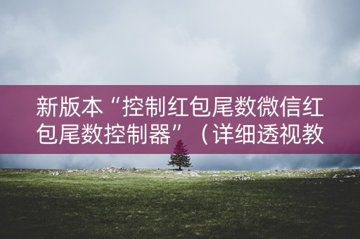 新版本“控制红包尾数微信红包尾数控制器”（详细透视教程）-哔哩哔哩