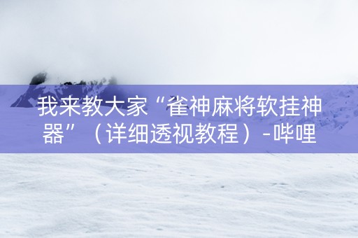 我来教大家“雀神麻将软挂神器”（详细透视教程）-哔哩哔哩