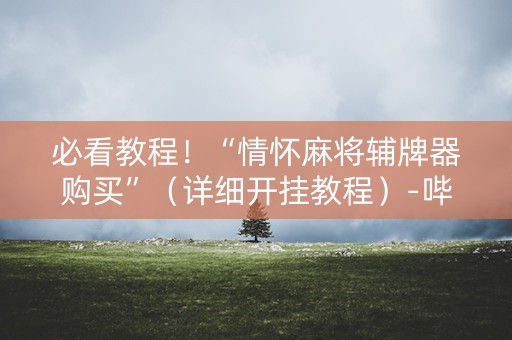 必看教程！“情怀麻将辅牌器购买”（详细开挂教程）-哔哩哔哩