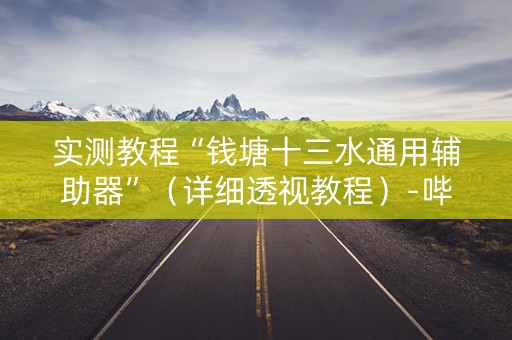 实测教程“钱塘十三水通用辅助器”（详细透视教程）-哔哩哔哩