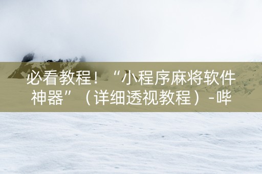 必看教程！“小程序麻将软件神器”（详细透视教程）-哔哩哔哩