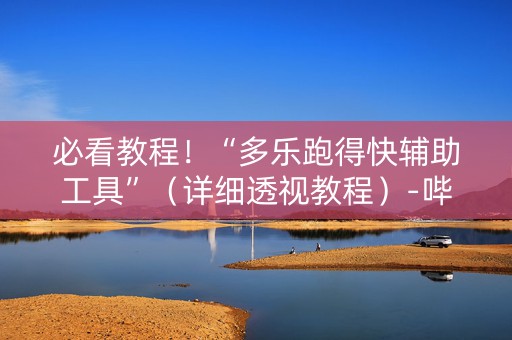 必看教程！“多乐跑得快辅助工具”（详细透视教程）-哔哩哔哩