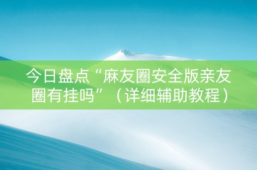 今日盘点“麻友圈安全版亲友圈有挂吗”（详细辅助教程）-哔哩哔哩