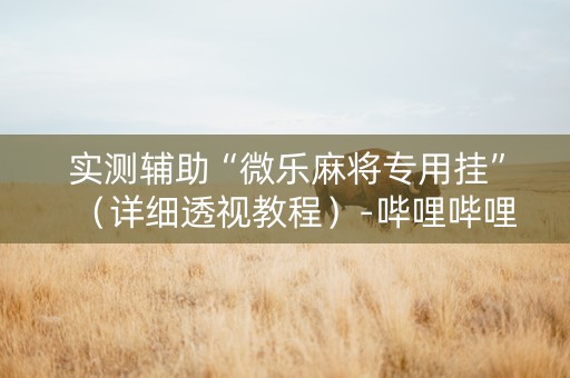 实测辅助“微乐麻将专用挂”（详细透视教程）-哔哩哔哩