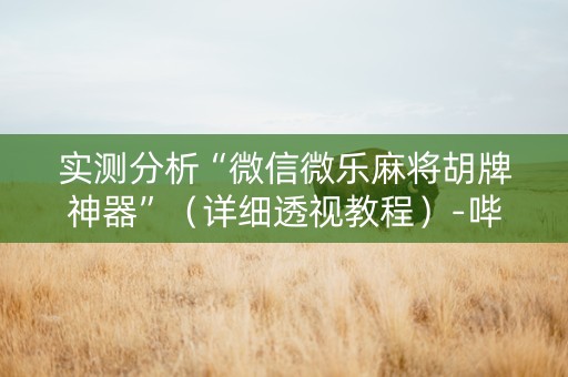 实测分析“微信微乐麻将胡牌神器”（详细透视教程）-哔哩哔哩