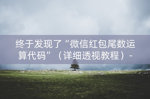 终于发现了“微信红包尾数运算代码”（详细透视教程）-哔哩哔哩
