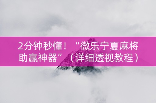 2分钟秒懂！“微乐宁夏麻将助赢神器”（详细透视教程）-哔哩哔哩