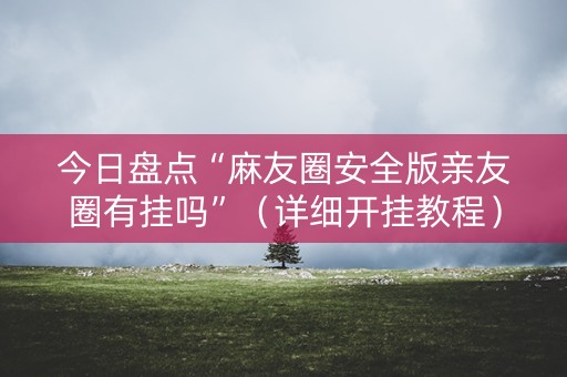 今日盘点“麻友圈安全版亲友圈有挂吗”（详细开挂教程）-哔哩哔哩
