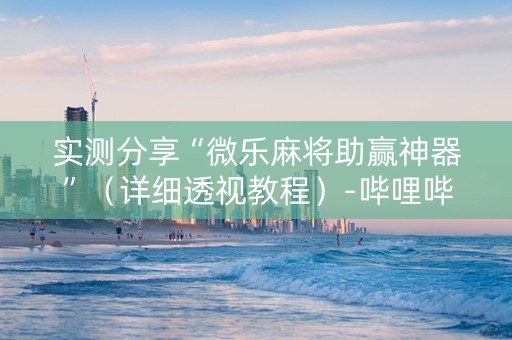 实测分享“微乐麻将助赢神器”（详细透视教程）-哔哩哔哩