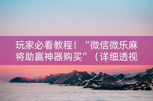 玩家必看教程！“微信微乐麻将助赢神器购买”（详细透视教程）-哔哩哔哩