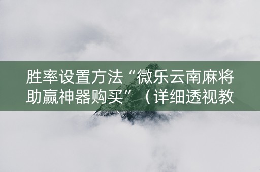 胜率设置方法“微乐云南麻将助赢神器购买”（详细透视教程）-哔哩哔哩