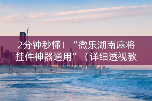 2分钟秒懂！“微乐湖南麻将挂件神器通用”（详细透视教程）-哔哩哔哩