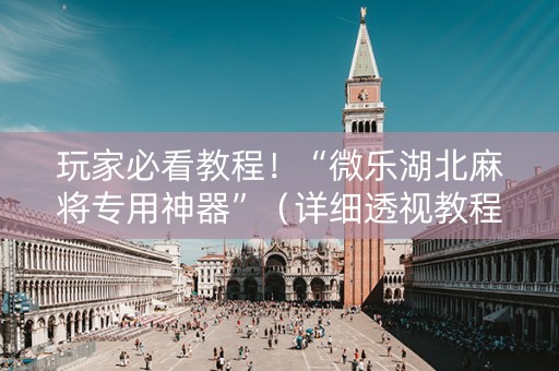 玩家必看教程！“微乐湖北麻将专用神器”（详细透视教程）-哔哩哔哩