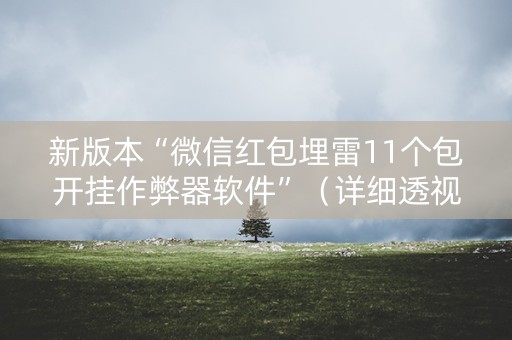 新版本“微信红包埋雷11个包开挂作弊器软件”（详细透视教程）-哔哩哔哩