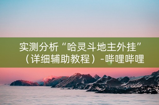 实测分析“哈灵斗地主外挂”（详细辅助教程）-哔哩哔哩