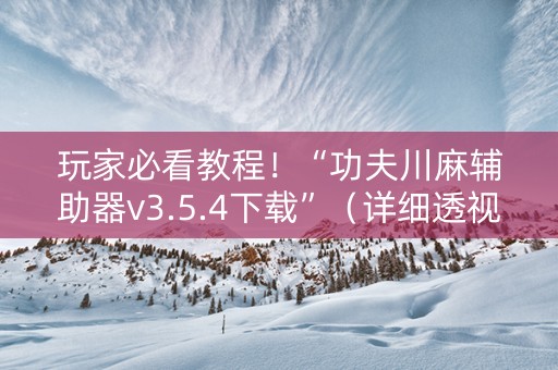 玩家必看教程！“功夫川麻辅助器v3.5.4下载”（详细透视教程）-哔哩哔哩