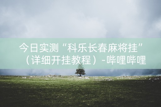 今日实测“科乐长春麻将挂”（详细开挂教程）-哔哩哔哩
