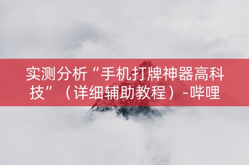 实测分析“手机打牌神器高科技”（详细辅助教程）-哔哩哔哩
