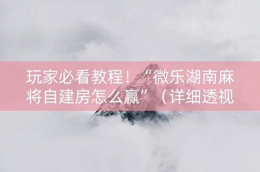 玩家必看教程！“微乐湖南麻将自建房怎么赢”（详细透视教程）-哔哩哔哩