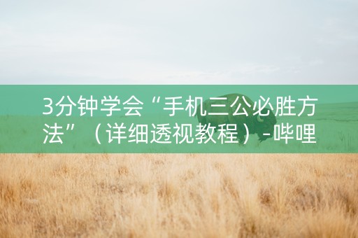 3分钟学会“手机三公必胜方法”（详细透视教程）-哔哩哔哩