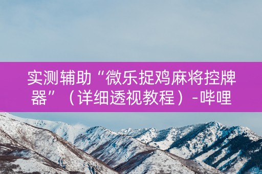 实测辅助“微乐捉鸡麻将控牌器”（详细透视教程）-哔哩哔哩