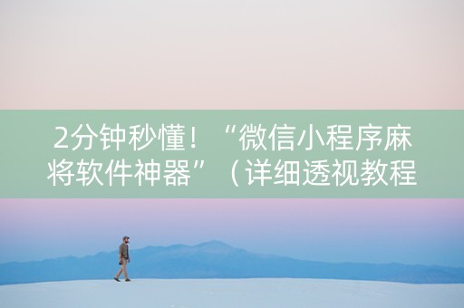 2分钟秒懂！“微信小程序麻将软件神器”（详细透视教程）-哔哩哔哩