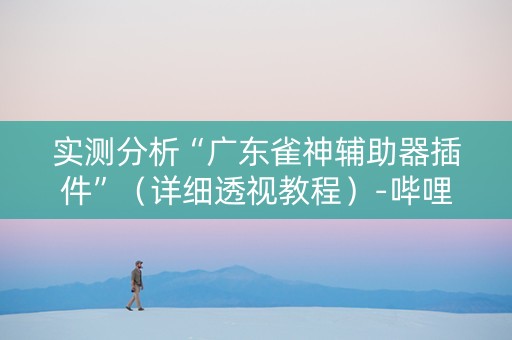 实测分析“广东雀神辅助器插件”（详细透视教程）-哔哩哔哩
