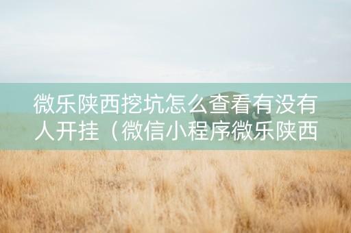 微乐陕西挖坑怎么查看有没有人开挂（微信小程序微乐陕西挖坑辅助）