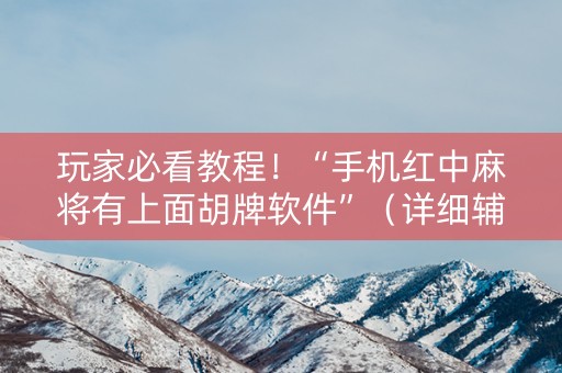 玩家必看教程！“手机红中麻将有上面胡牌软件”（详细辅助教程）-哔哩哔哩