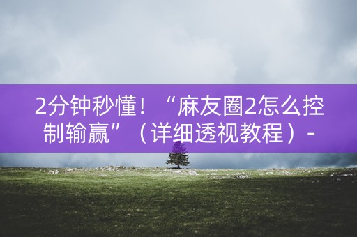 2分钟秒懂！“麻友圈2怎么控制输赢”（详细透视教程）-哔哩哔哩