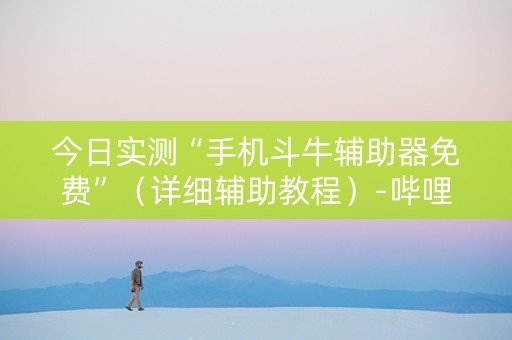 今日实测“手机斗牛辅助器免费”（详细辅助教程）-哔哩哔哩
