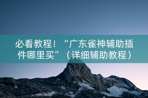 必看教程！“广东雀神辅助插件哪里买”（详细辅助教程）-哔哩哔哩