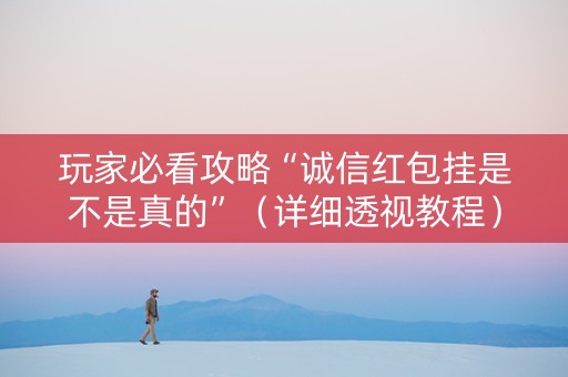 玩家必看攻略“诚信红包挂是不是真的”（详细透视教程）-哔哩哔哩